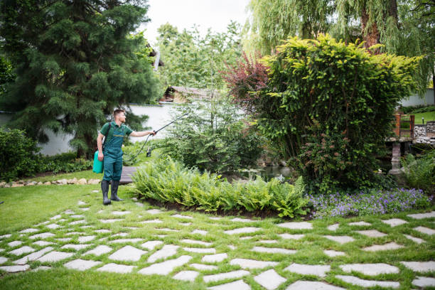 Best Residential Pest Control  in Mechanicsville, VA